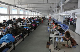 彭瑤服裝制造產品熱銷與服裝輔料制造的創新之路