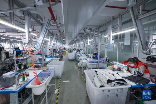 湖州童裝之都 以輔料制造為基石，從“做產(chǎn)品”到“創(chuàng)品牌”的產(chǎn)業(yè)升級之路